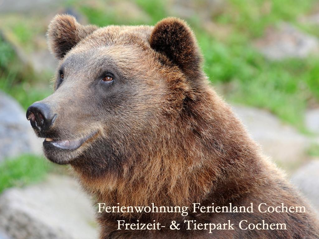 Ferienwohnungen Ferienland Cochem Bruttig-Fankel Exterior foto