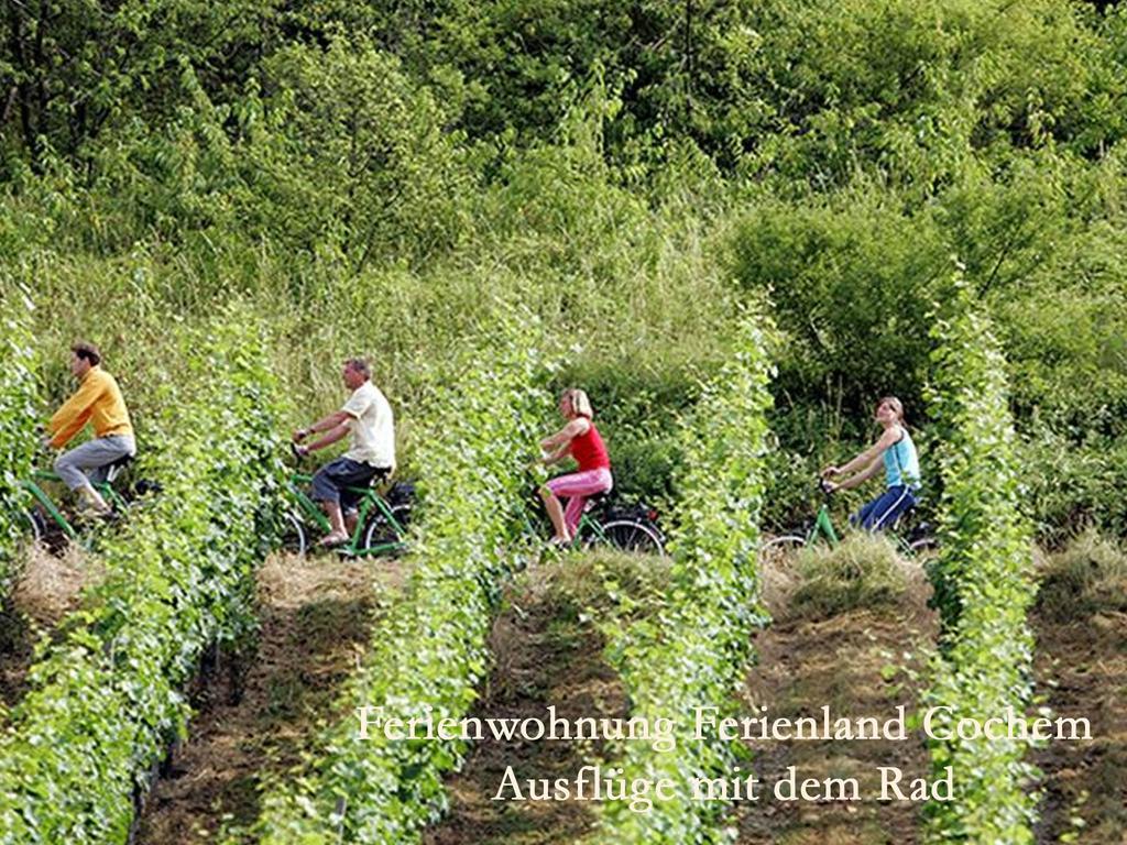 Ferienwohnungen Ferienland Cochem Bruttig-Fankel Exterior foto