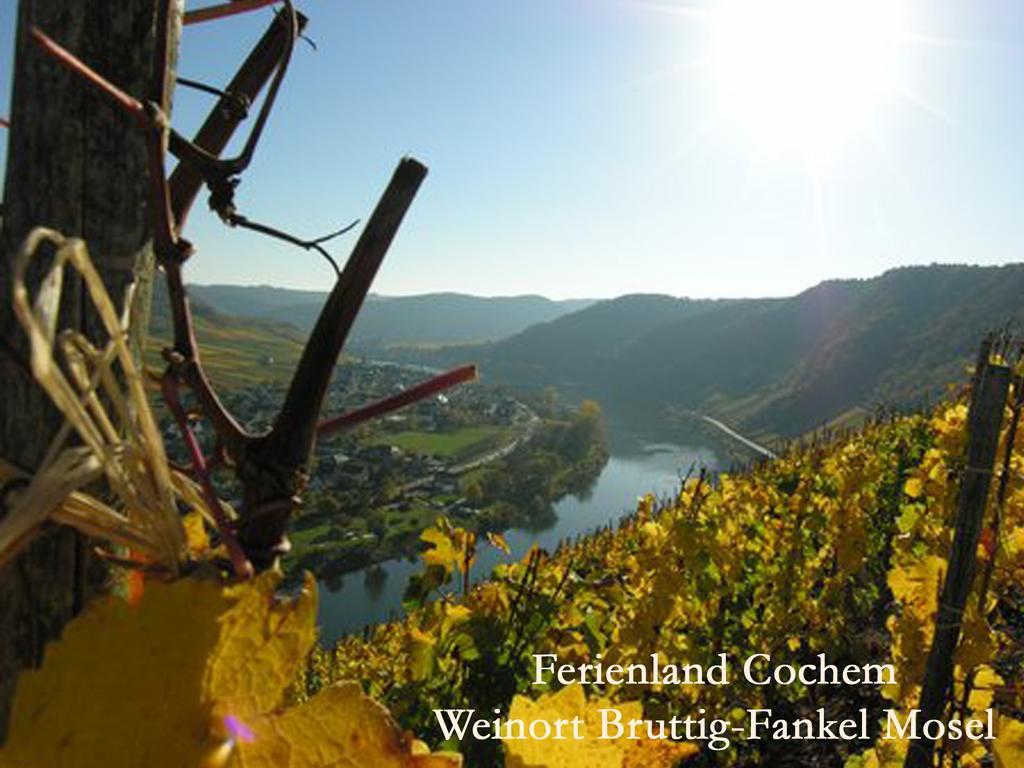 Ferienwohnungen Ferienland Cochem Bruttig-Fankel Exterior foto